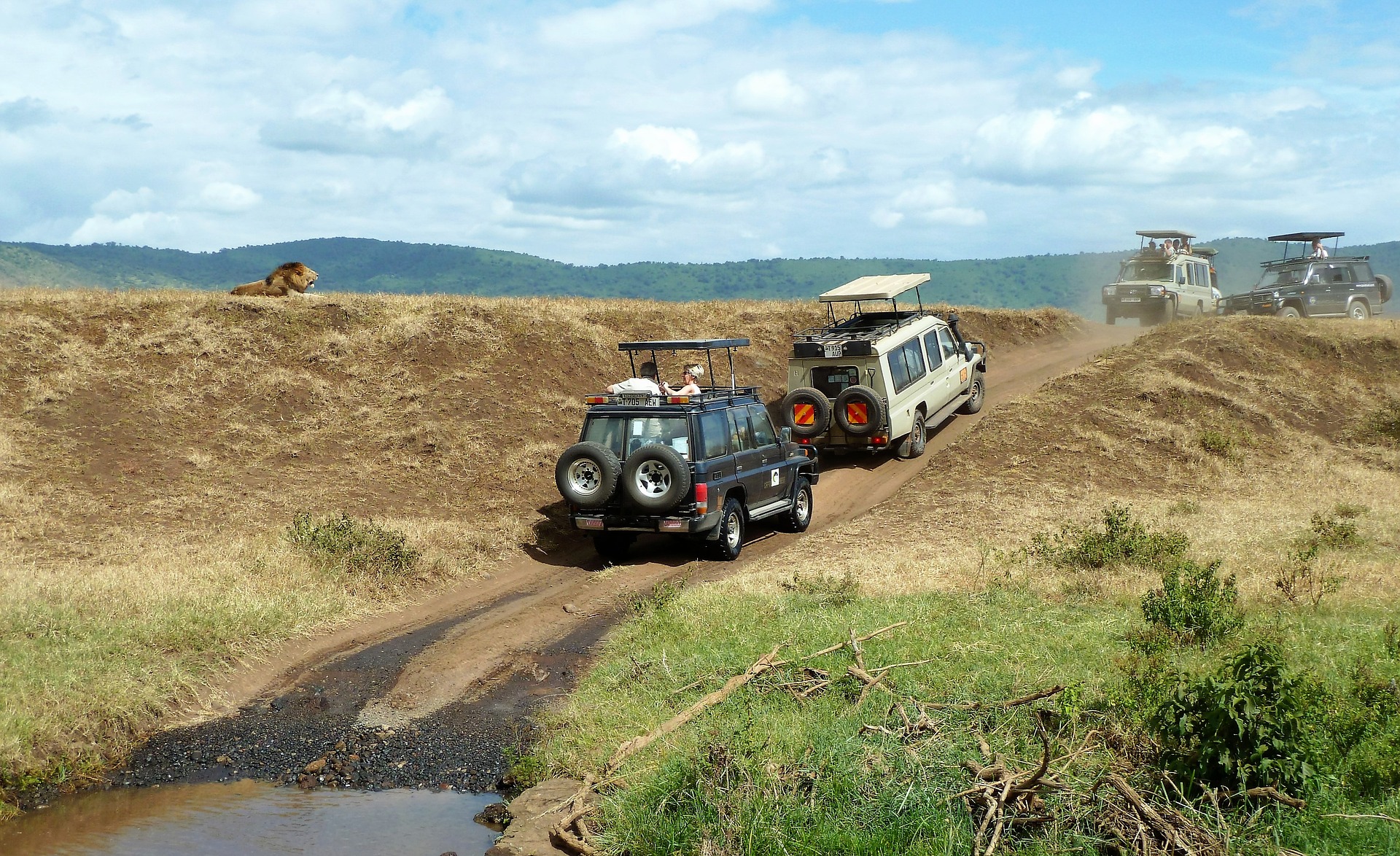 safari en Tanzania
